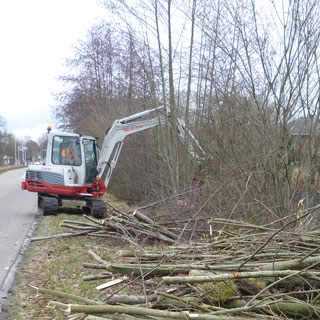 Bomenzaag Postma Kraanverhuur